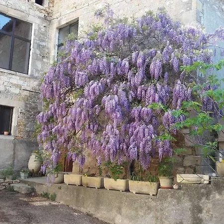 Ferienhaus De La Place Du Chateau *